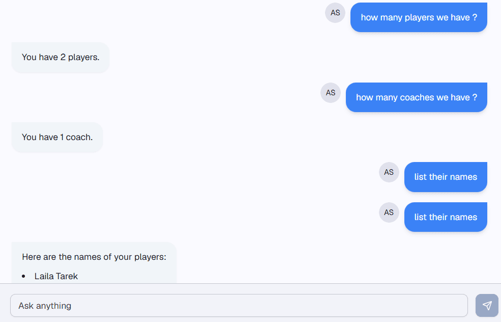 Rally AI Agent